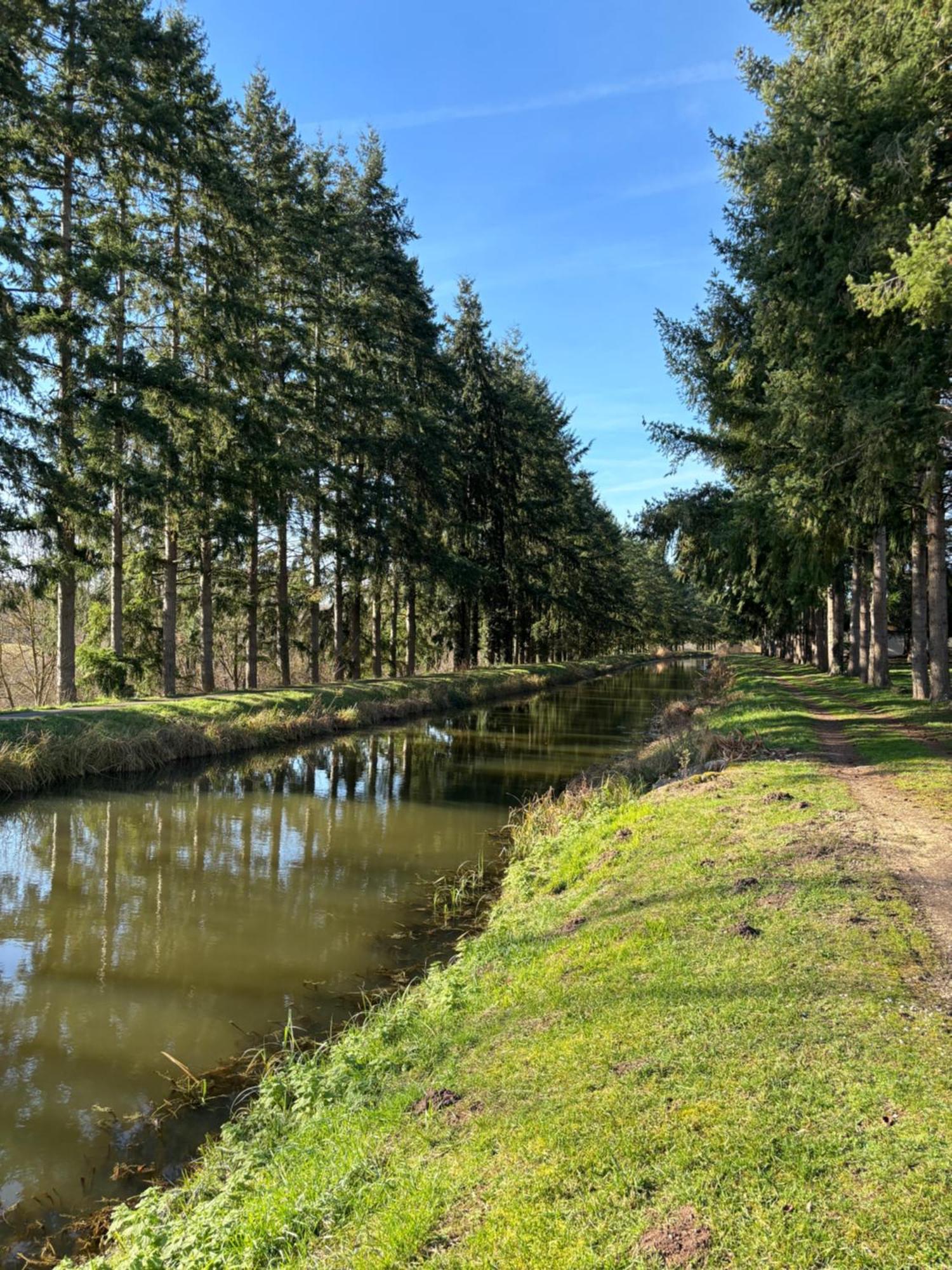 La Haute Tremiere Charenton-du-Cher Exteriör bild