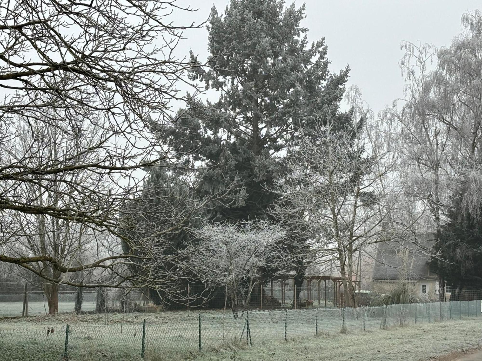 La Haute Tremiere Charenton-du-Cher Exteriör bild